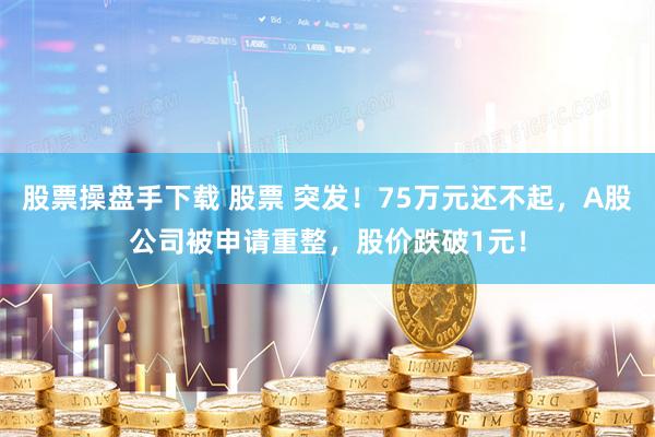 股票操盘手下载 股票 突发！75万元还不起，A股公司被申请重整，股价跌破1元！