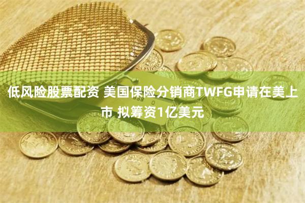 低风险股票配资 美国保险分销商TWFG申请在美上市 拟筹资1亿美元