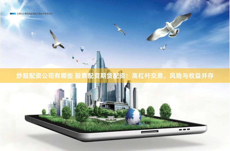 炒股配资公司有哪些 股票配资期货配资：高杠杆交易，风险与收益并存